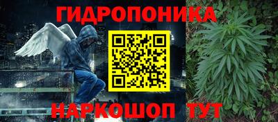 хмурый Заводоуковск